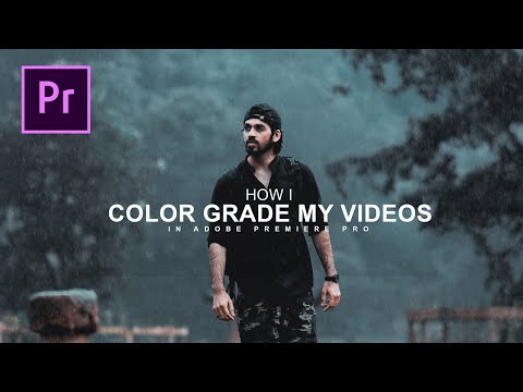 How I COLOR GRADE MY VIDEOS in Premiere Pro