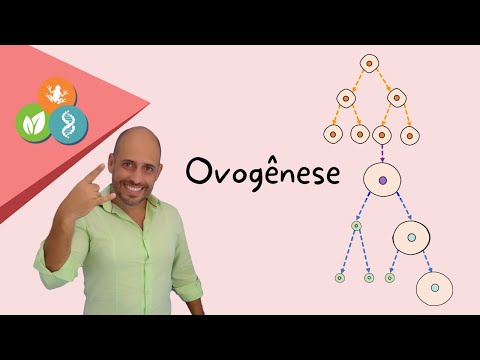Ovogênese