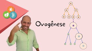 Ovogênese