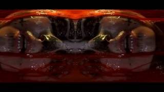 The Last Exposure - Echo