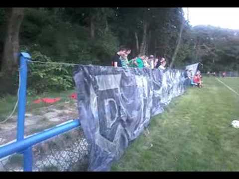 Dąb - Świecie oprawa