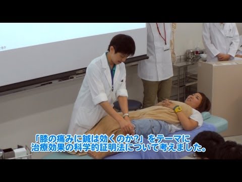 鍼(ハリ)の実験で治療効果の方程式を考えよう【ひらめきときめきサイエンス2013 】