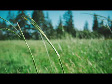 Psalm 23 - Rob Switzer