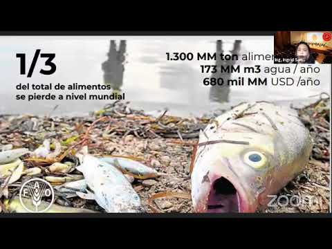 SemIng2021 - Economía circular en el sector pesquero