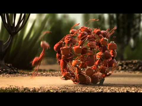 il gioco di squadra.wmv