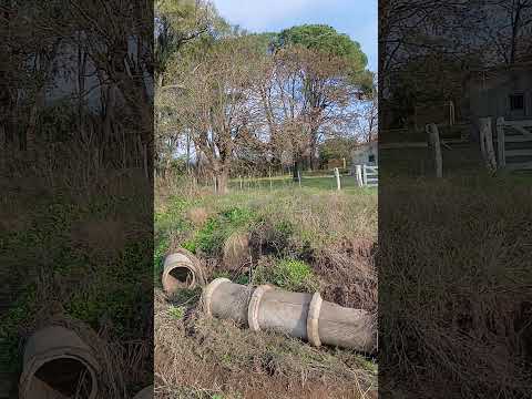 Escuela N* 57. "Jose M. Gutierrez". Aldea San Miguel. Dpto. Nogoya. Entre Rios