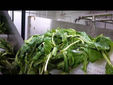 Virtual Production Facility Tour | Suja Organic