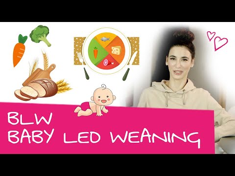 BLW: Everything you need to know about Baby-Led Weaning | When to start? Differences to complemen...