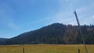 Being as an ocean -If they &#39;re not counted, count me out