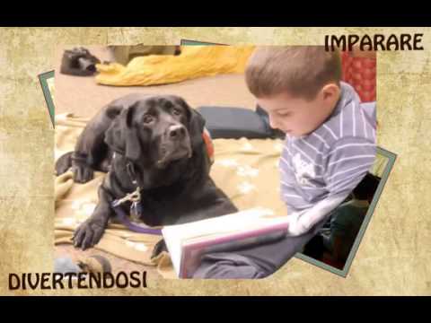 Asilo Alice Castello 2013