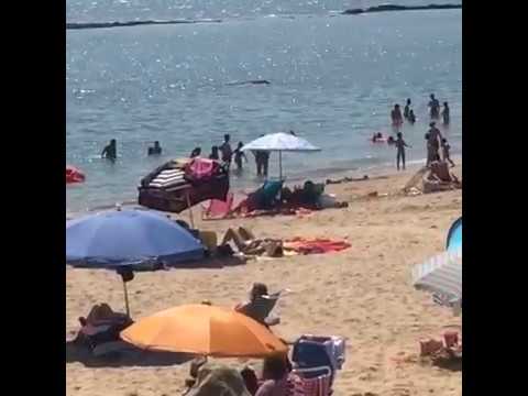 Playa de la muralla, puerto sherry, el puerto