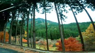 車窓、英彦山の紅葉2023
