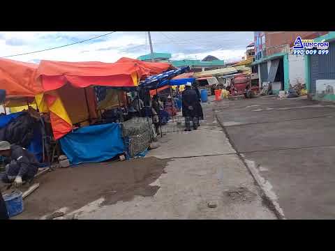 🔵 #YUNGUYO  RECAPEO DEL MERCADO 15 DE AGOSTO  11/12/25