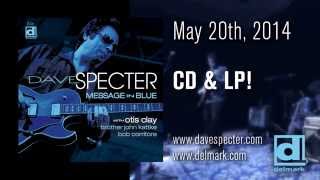 Dave Specter: Message in Blue album preview: "The Stinger"