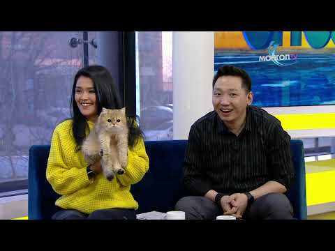 Өнөө Өглөө - Муур тэжээгч О.Хашчулуун