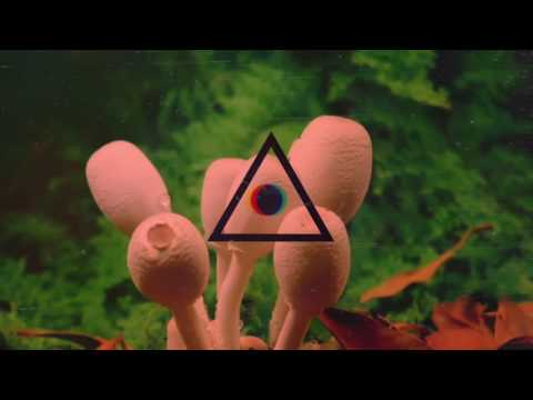 Nihil Young, Less Hate - Tell Your Friend