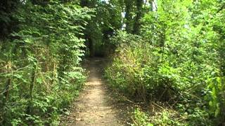 preview picture of video 'Diglis Basin & Severn Way, Worcester, Worcestershire, England 31st July 2011'