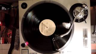 Cats On The Coast – Sea Level