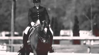 - Feel This Moment -