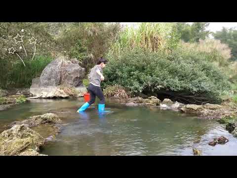 Black pearls/I found the shellfish that gave birth to pearls at the source of the living water