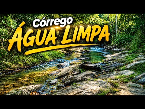 Córrego água limpa, Buriti de Goiás