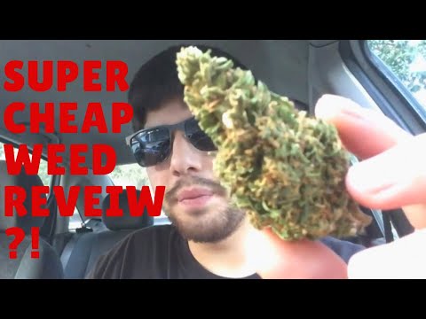 Orange Bud Review