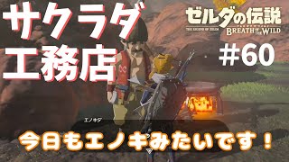 羽ばたけサクラダ工務店！ゲルド→リト族に行ってきた【ゼルダの伝説ブレスオブザワイルド女性実況】～今日もゼルダを救えない#60