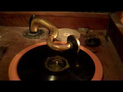 JEAN GOLDKETTE BIX JOE VENUTI EDDIE LANG - IDOLIZING - ROARING 20's VICTROLA 8-30