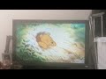 Pooh Stuck