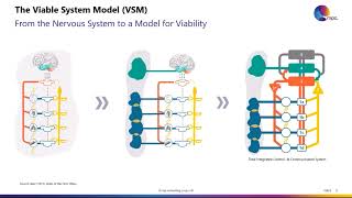 Introduction to the Viable System Model VSM