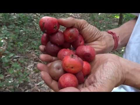 52 mga paraan upang mawalan ng timbang Mawalan ng Timbang sa isang plato