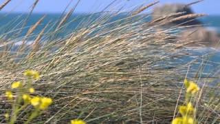 Acoustic Alchemy - Angel Of The South & The Beautiful Game