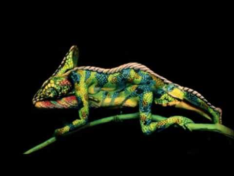 chameleon then models