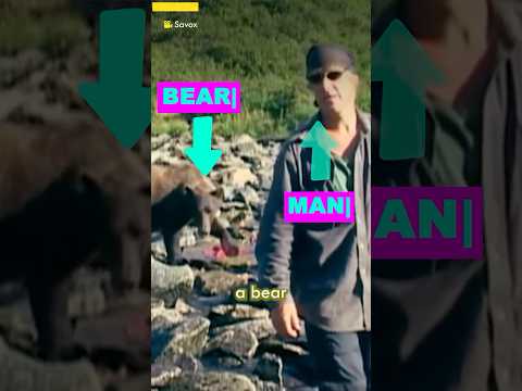 The Grizzly Man Bear Attack Was Caught on Tape