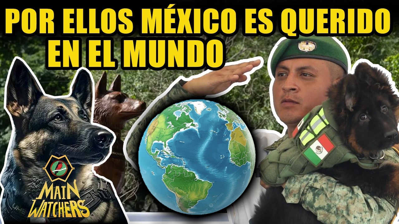 Por qué el MUNDO AMA a los SOLDADOS MEXICANOS?