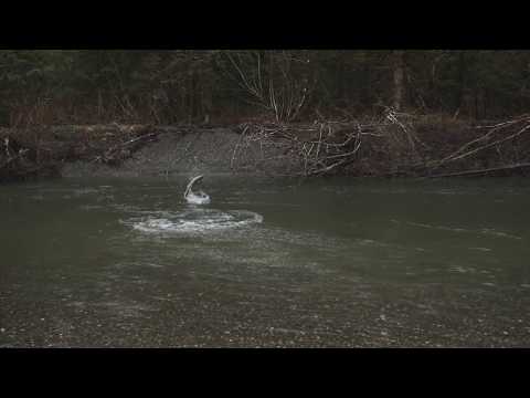 Addicted Alaska 2 - Winter Chrome Blend - COMING May 2019!