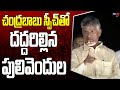 Chandrababu Naidu Powerful Speech In Pulivendula CM Jagan TDP Public Meeting Tv5 News