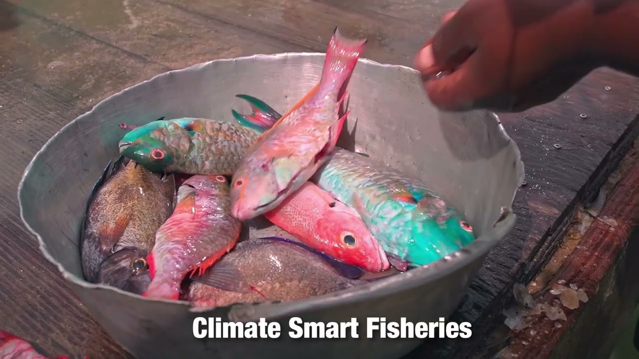 MOAF CLIMATE SMART FISHERIES digital copy Draft 02
