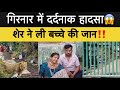 गिरनार में दर्दनाक हादसा 12 साल के बच्च�