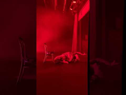Thumbnail for 💋Snippets from the wings - #Showgirl #BossLady takes it down low - #dance #performance #show #live by Cher