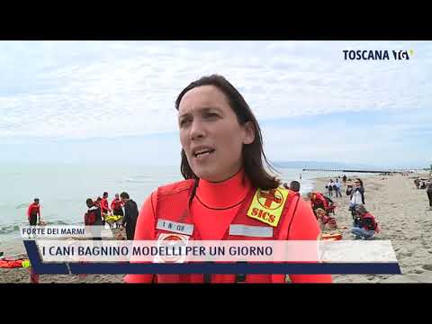 2021-05-24 FORTE DEI MARMI - I CANI BAGNINO MODELLI PER UN GIORNO