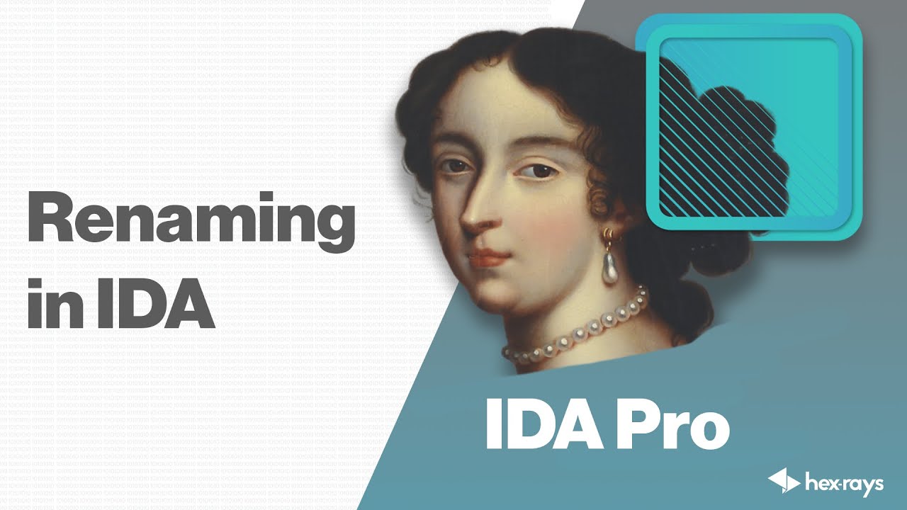 Renaming in IDA