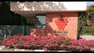Strawberry Fields High School Video