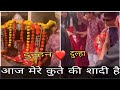 Dog Marriage Viral Video Dog Funny Marriage Viral Video