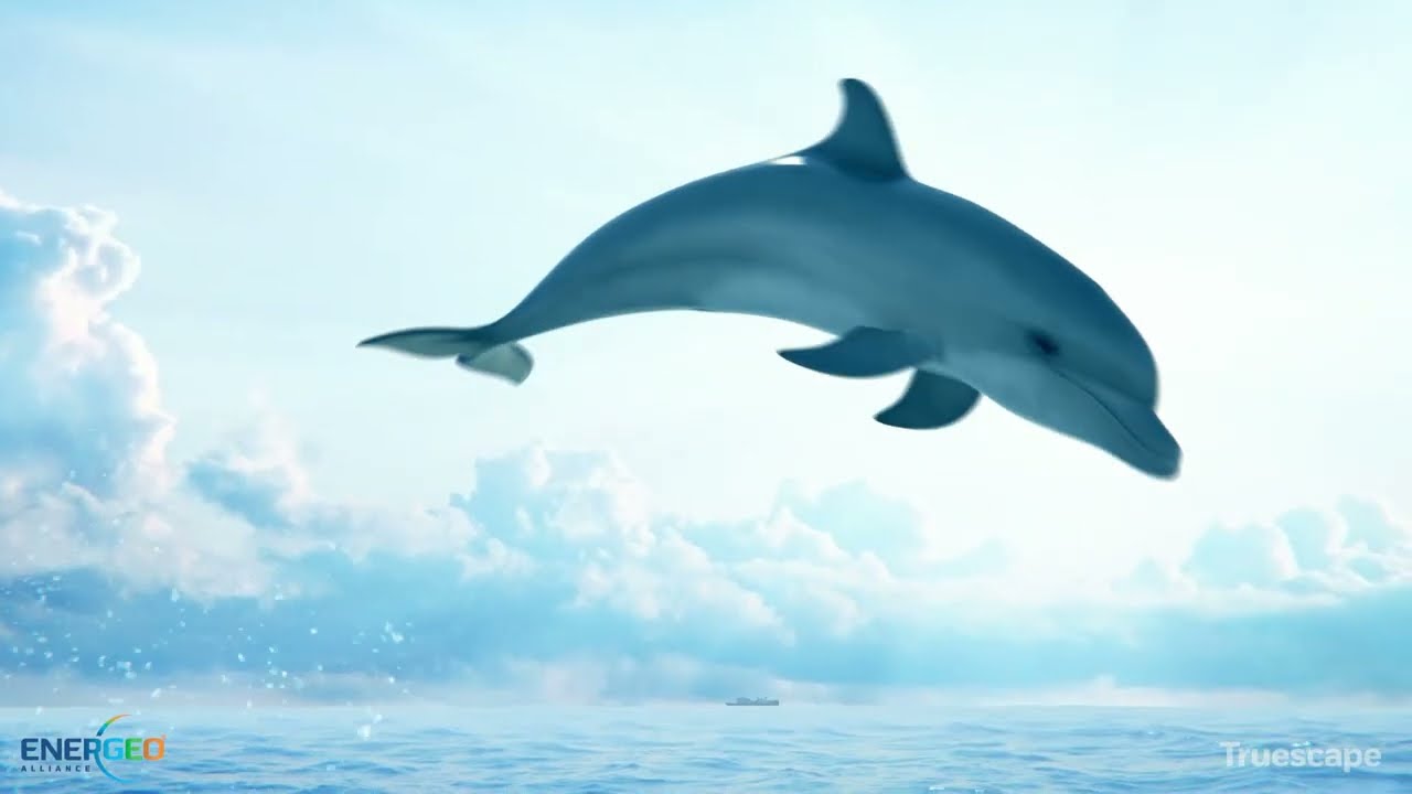 Seismic Surveys: Exploring Our World - Australia