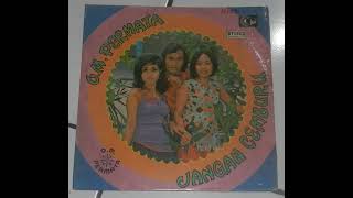 Download lagu Orkes Melayu Permata - Mari Bergembira Side A mp3