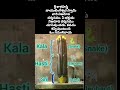 Srikalahasti Sri Kala Hasti Shivayaaa Vayuu Lingam Temple Vibes