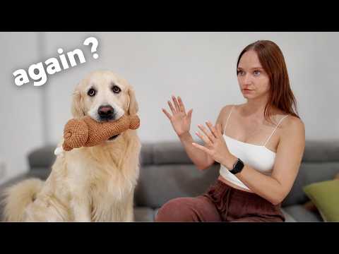 YouTube 썸네일