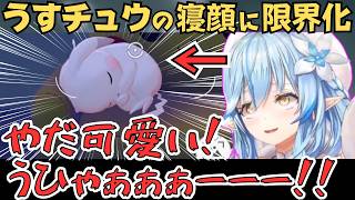 うすチュウをピカチュウ独房に入れ、可愛さに限界化するラミィちゃんw【雪花ラミィ 切り抜き／ホロライブ／ぽこ あ ポケモン】
