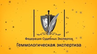 🔴 Геммологическая экспертиза // Экспертиза упаковки ювелирного изделия